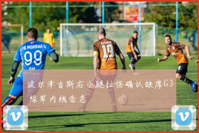 波尔津吉斯右小腿拉伤确认缺席G3 绿军内线告急